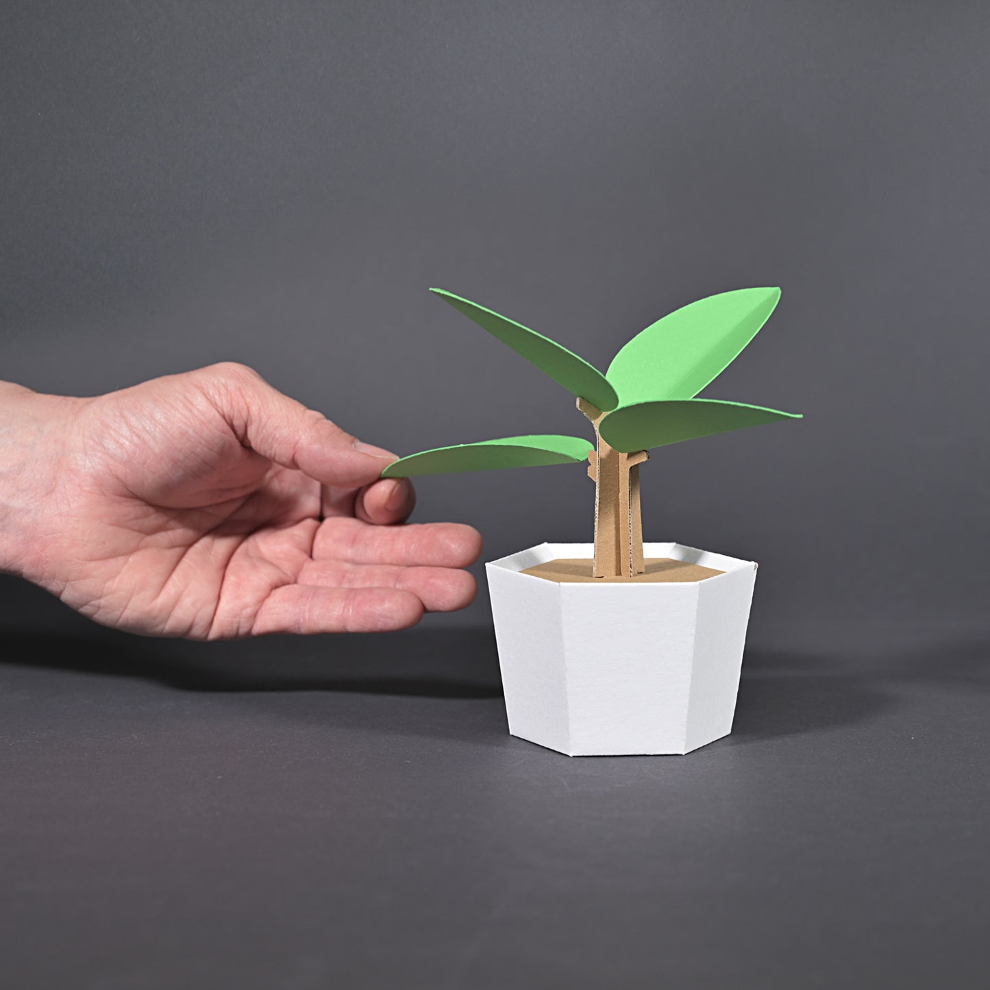 PLANT Design-Kit