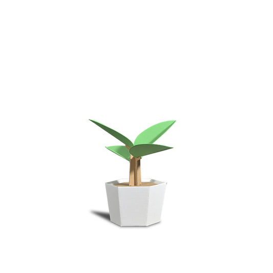 PLANT  Design-Kit